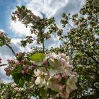 So schön kann der Frühling sein