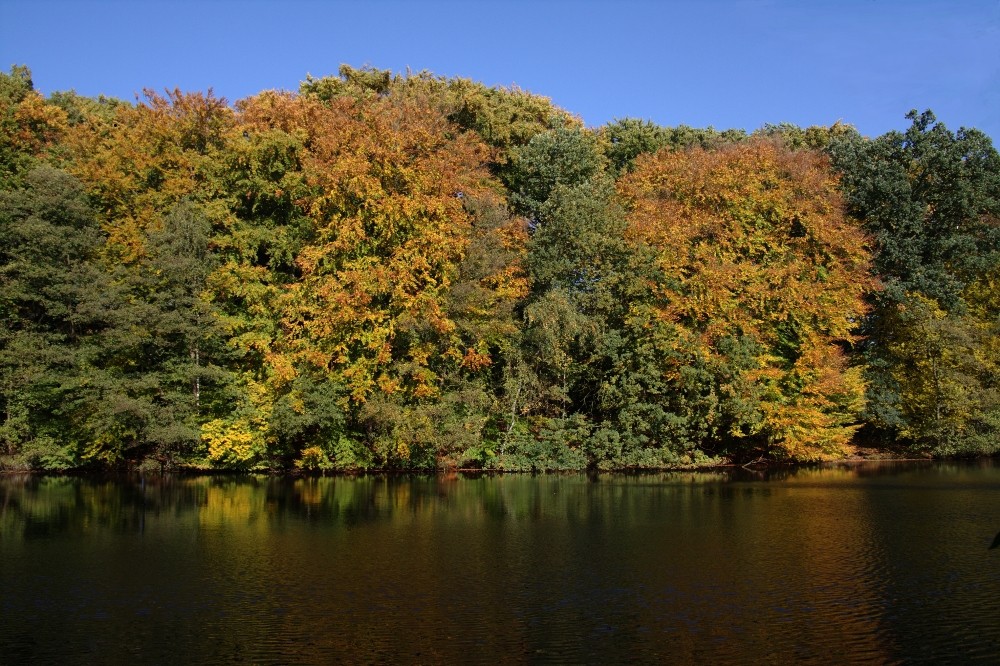 So schön kann der Herbst aussehen