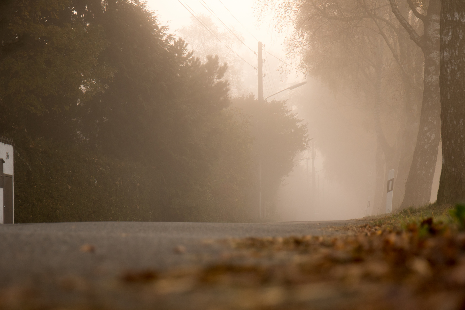 So schön kann der Herbst sein 1