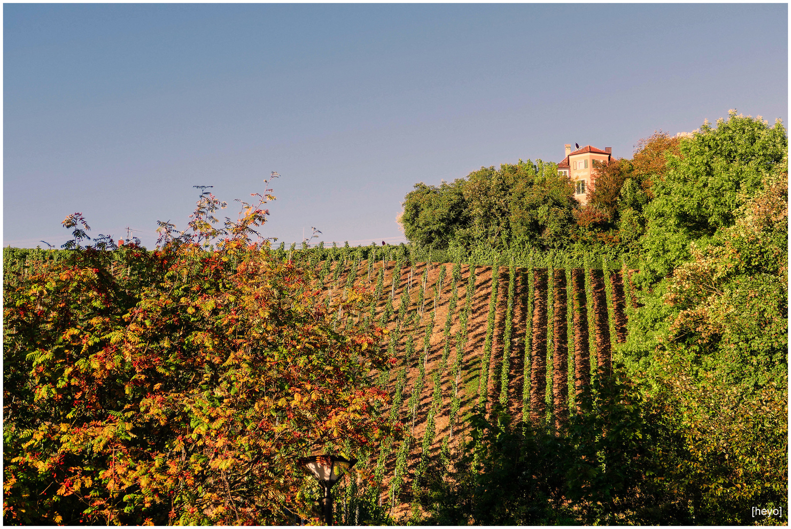 So schön kann der Herbst sein Foto & Bild landschaften, herbst, wein