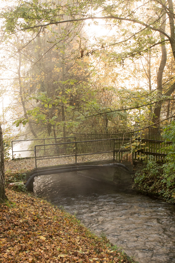 So schön kann der Herbst sein 3