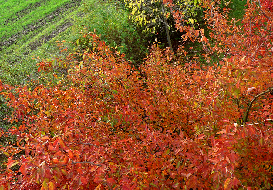 So schön kann der Herbst sein