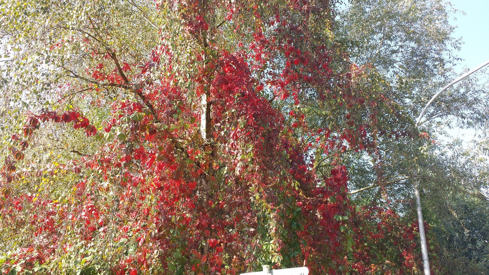 So schön kann der Herbst sein