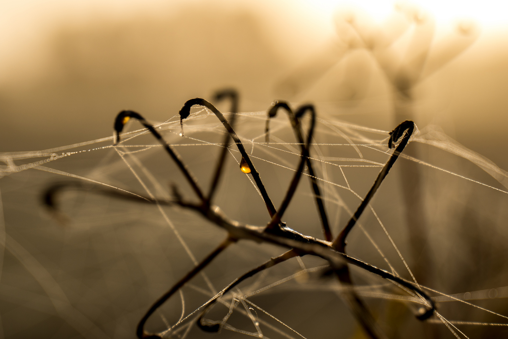 So schön kann der Herbst sein 7