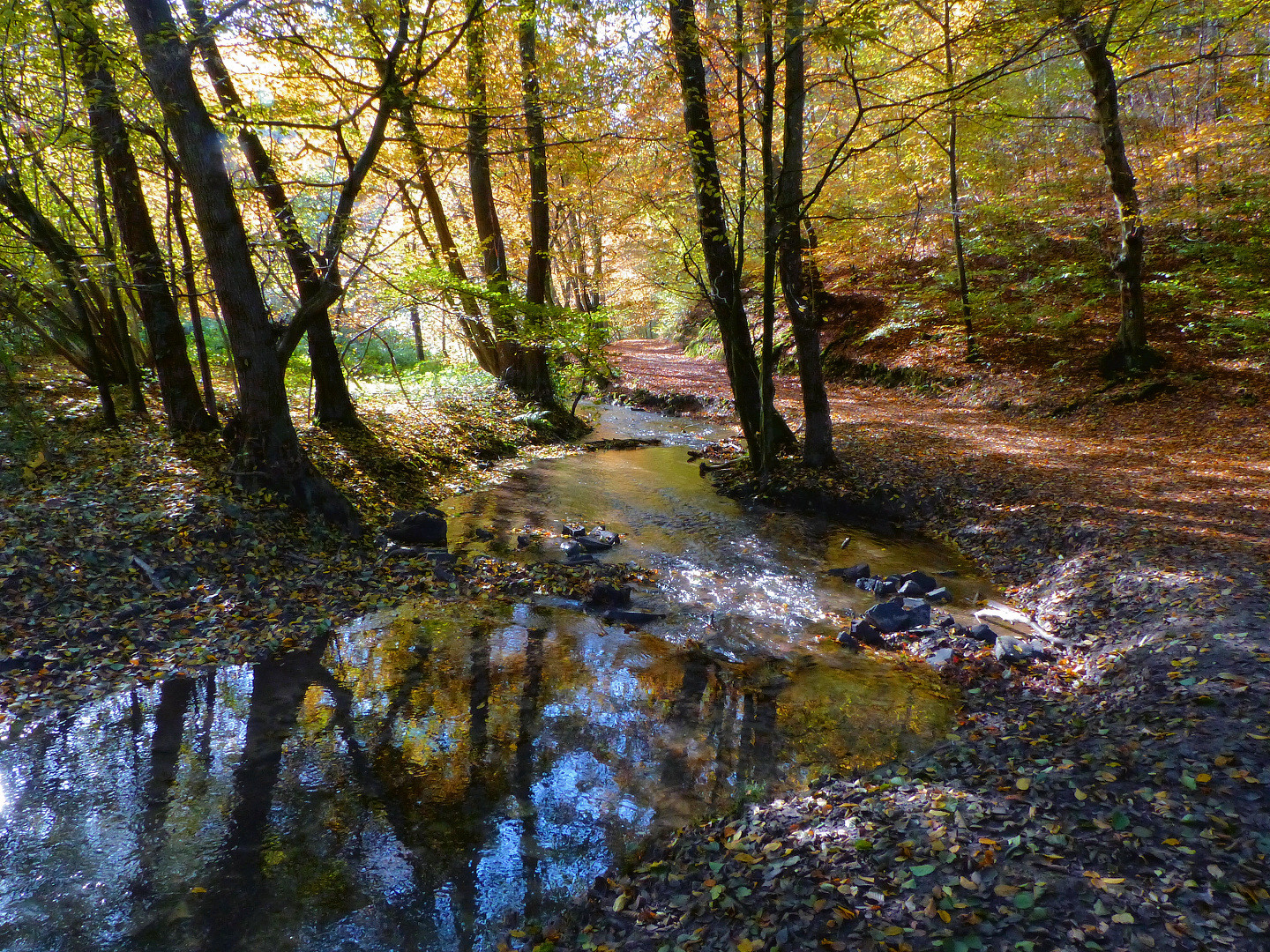 So schön kann der Herbst sein