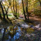 So schön kann der Herbst sein