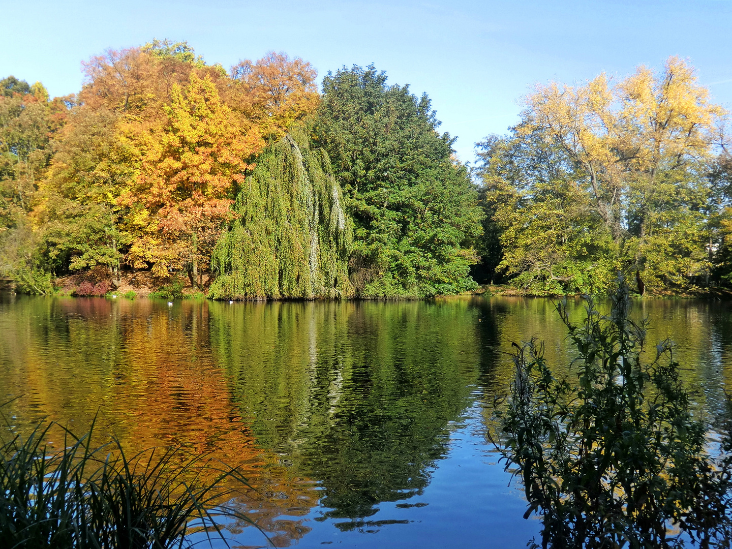 So schön kann der Herbst sein ..