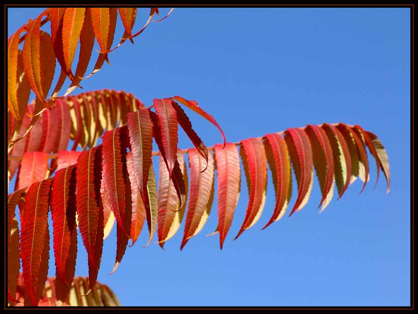 so schön kann der Herbst sein !!