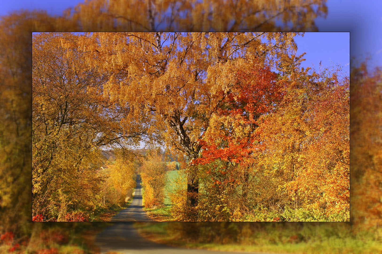 so schön kann der Herbst sein ;)