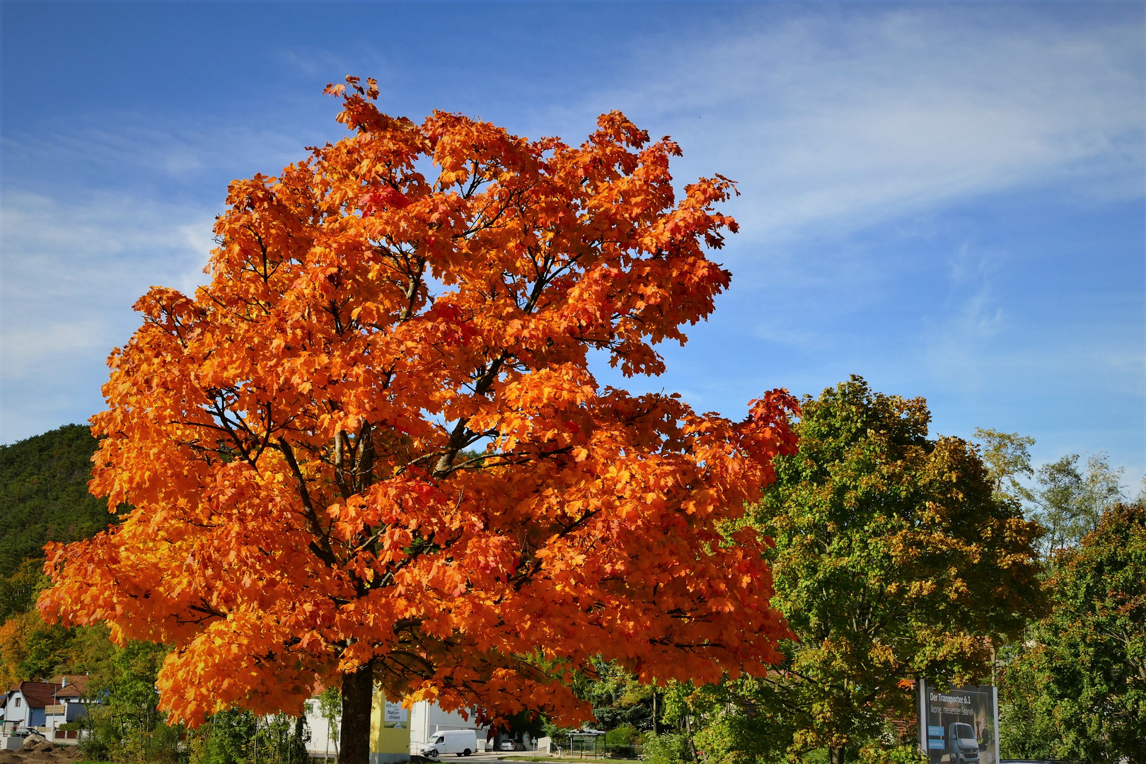 So schön kann der Herbst sein Foto & Bild bäume, natur, herbst Bilder