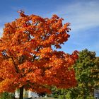 So schön kann der Herbst sein