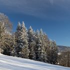 so schön kann der Winter aussehen 