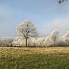 So schön kann der Winter in Hamburg sein