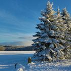 So schön kann der Winter sein.