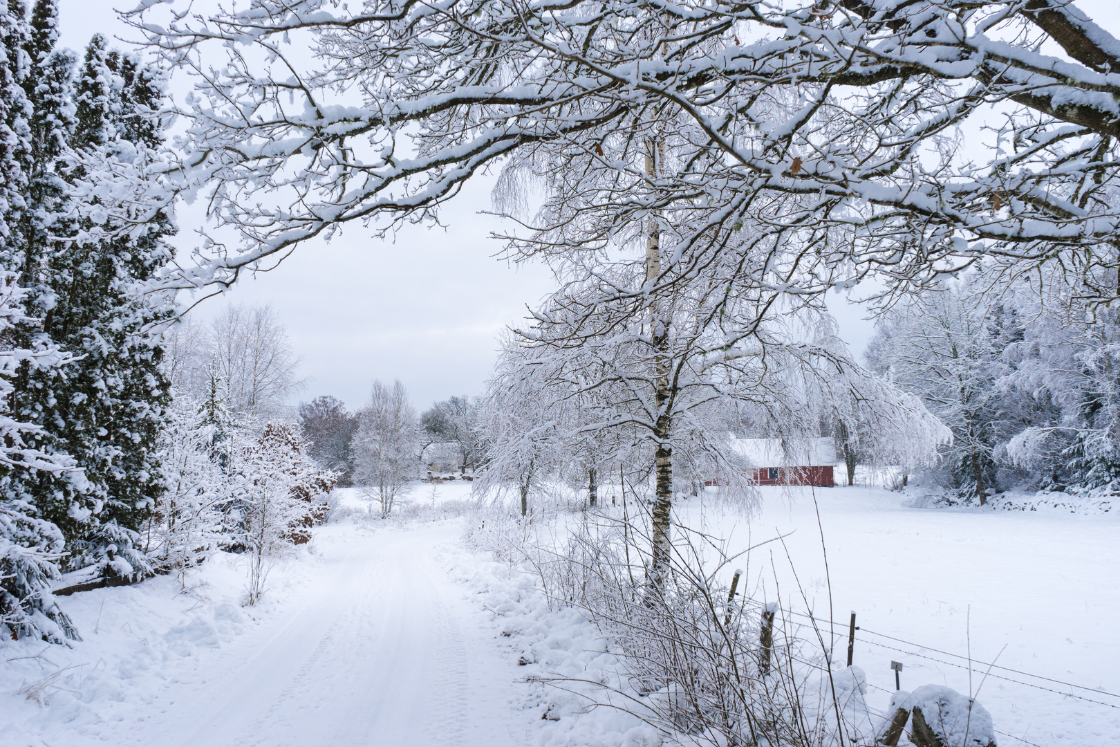 So schön kann der Winter sein