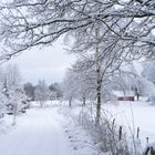 So schön kann der Winter sein