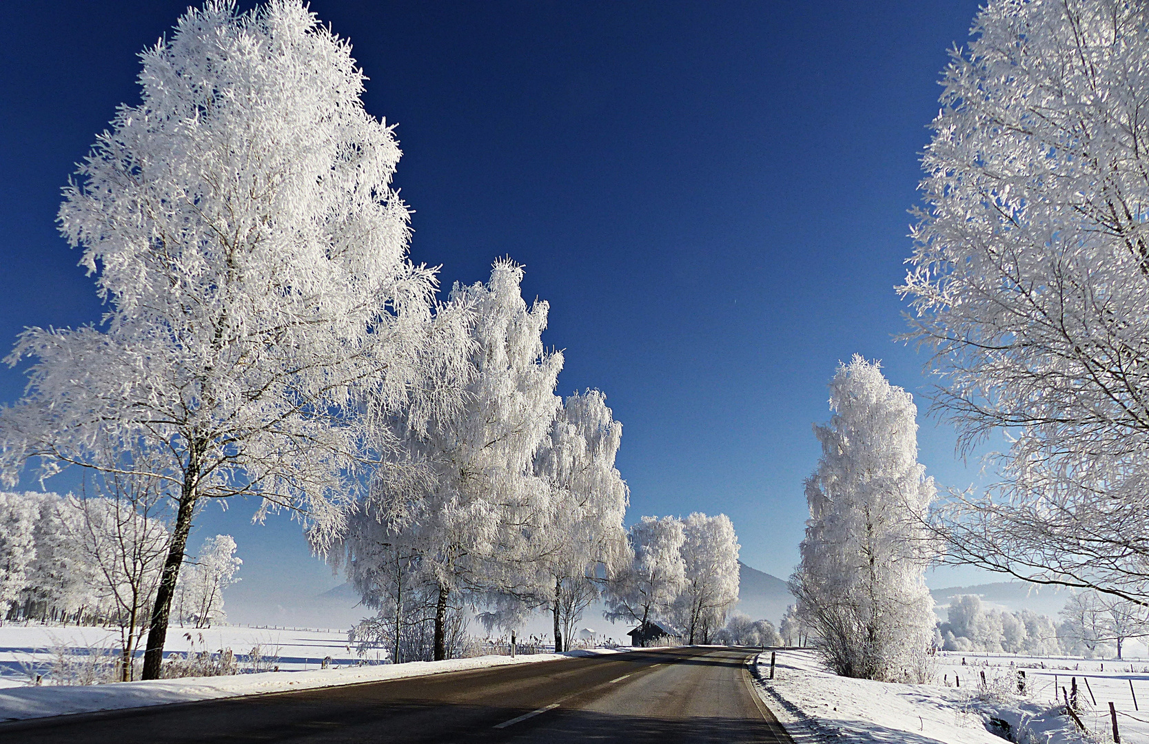 So schön kann der Winter sein