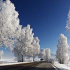 So schön kann der Winter sein