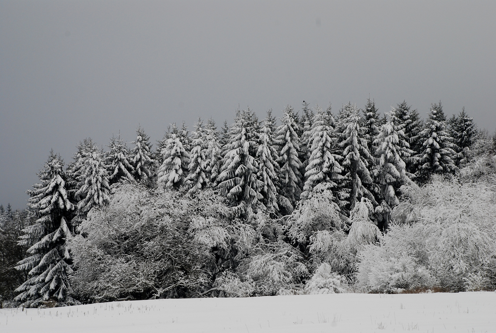 So schön kann der Winter sein