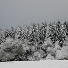 So schön kann der Winter sein