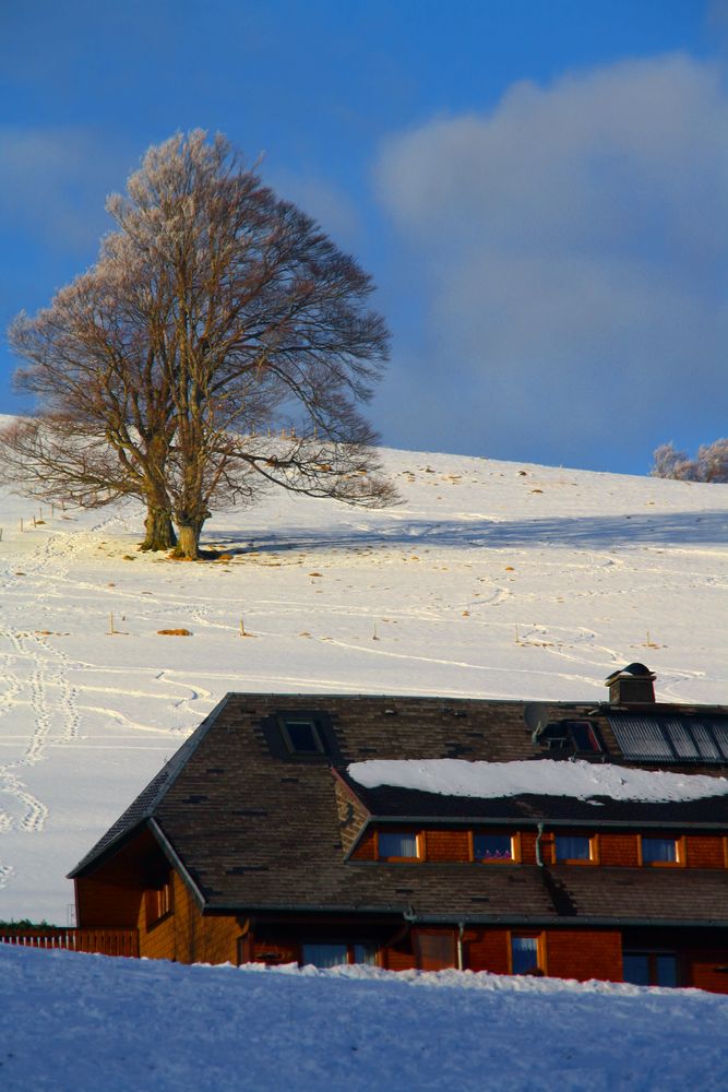 So schön kann der Winter sein