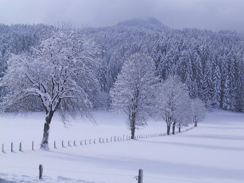 So schön kann der Winter sein