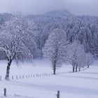 So schön kann der Winter sein