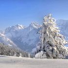 So schön kann der Winter sein.Am Wildenkaiser Tirol.