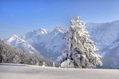 So schön kann der Winter sein.Am Wildenkaiser Tirol.