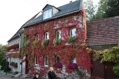 so schön kann ein Haus von der Natur dekoriert werden