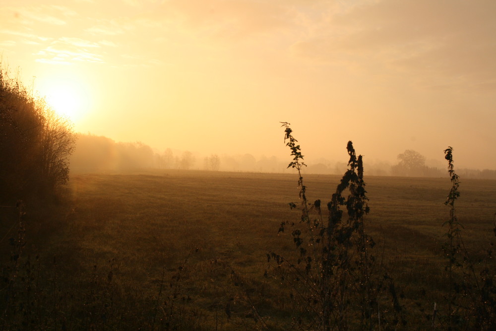 So schön kann ein Morgenspaziergang sein