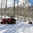 So schön kann ein Winter sein.....