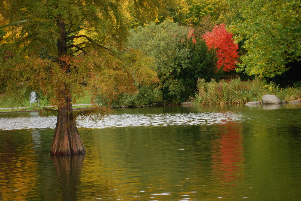 so schön kann es im Herbst sein