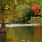 so schön kann es im Herbst sein