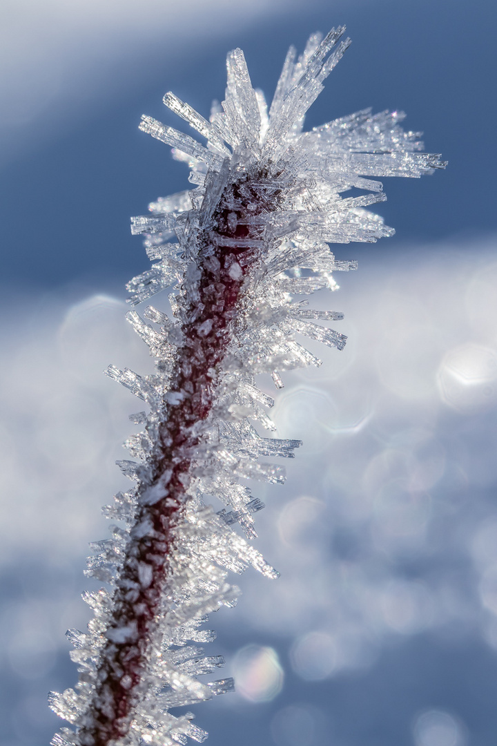 So schön kann Frost sein