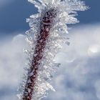 So schön kann Frost sein