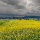 so schön kann Frühling sein