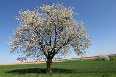 So schön kann Frühling sein