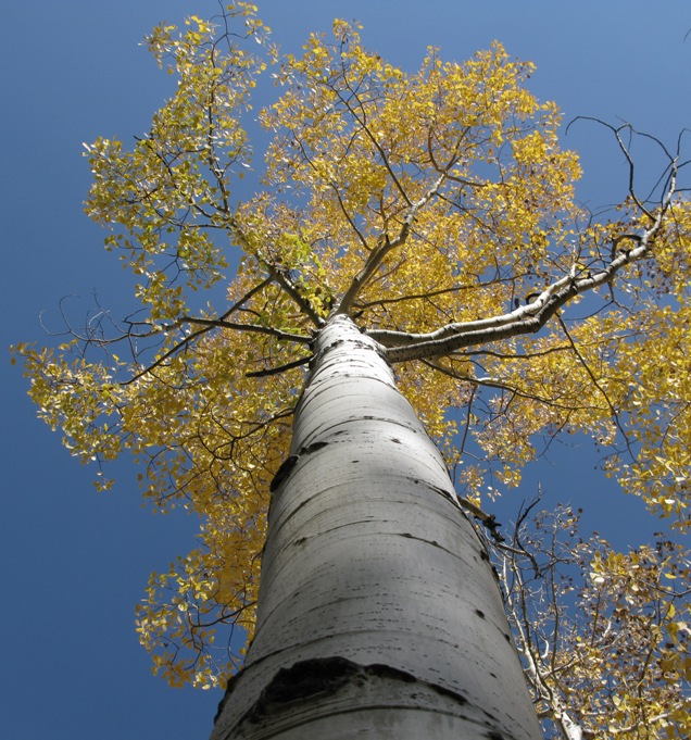 so schön kann Herbst sein