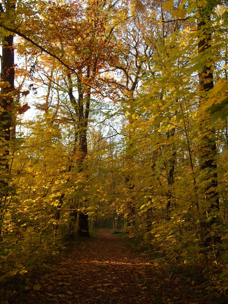 So schön kann Herbst sein.