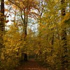 So schön kann Herbst sein.