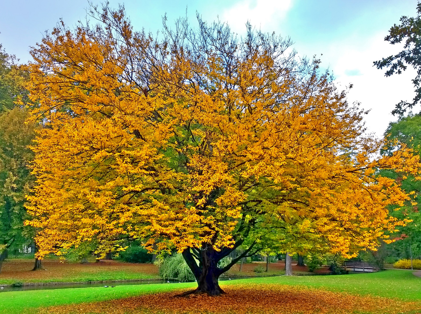 So schön kann Herbst sein!!