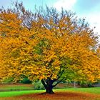 So schön kann Herbst sein!!