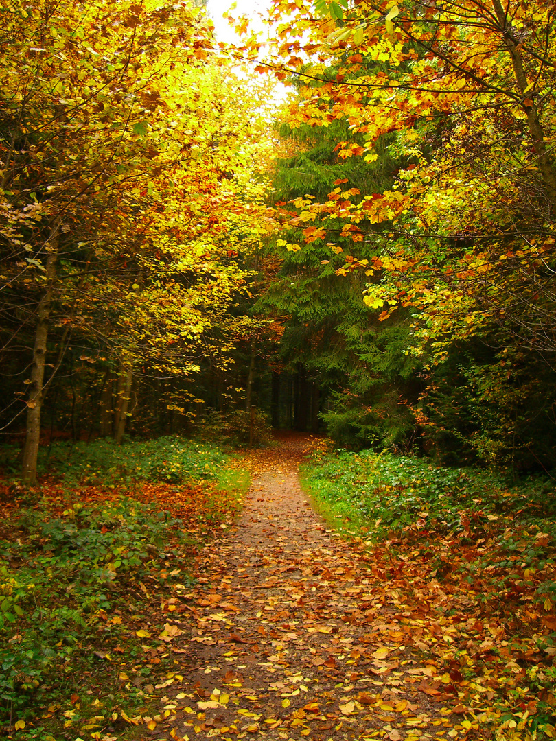 So schön kann Herbst sein...