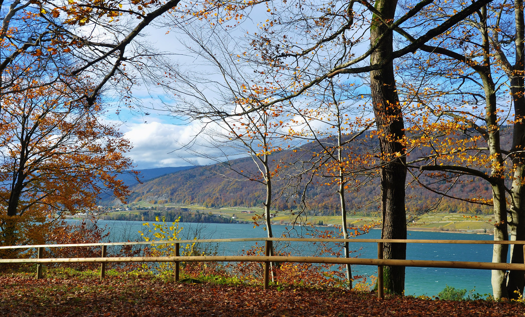 So schön kann Herbst sein