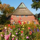 So schön kann Herbst sein !