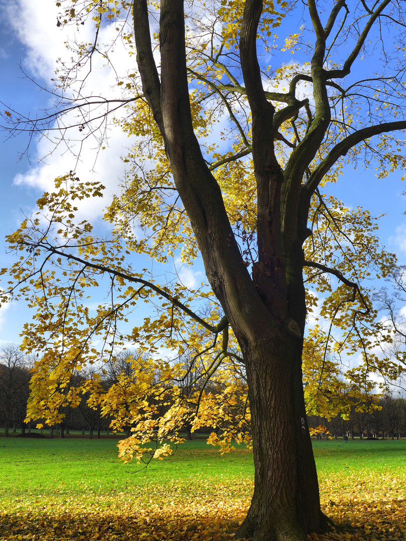 So schön kann Herbst sein