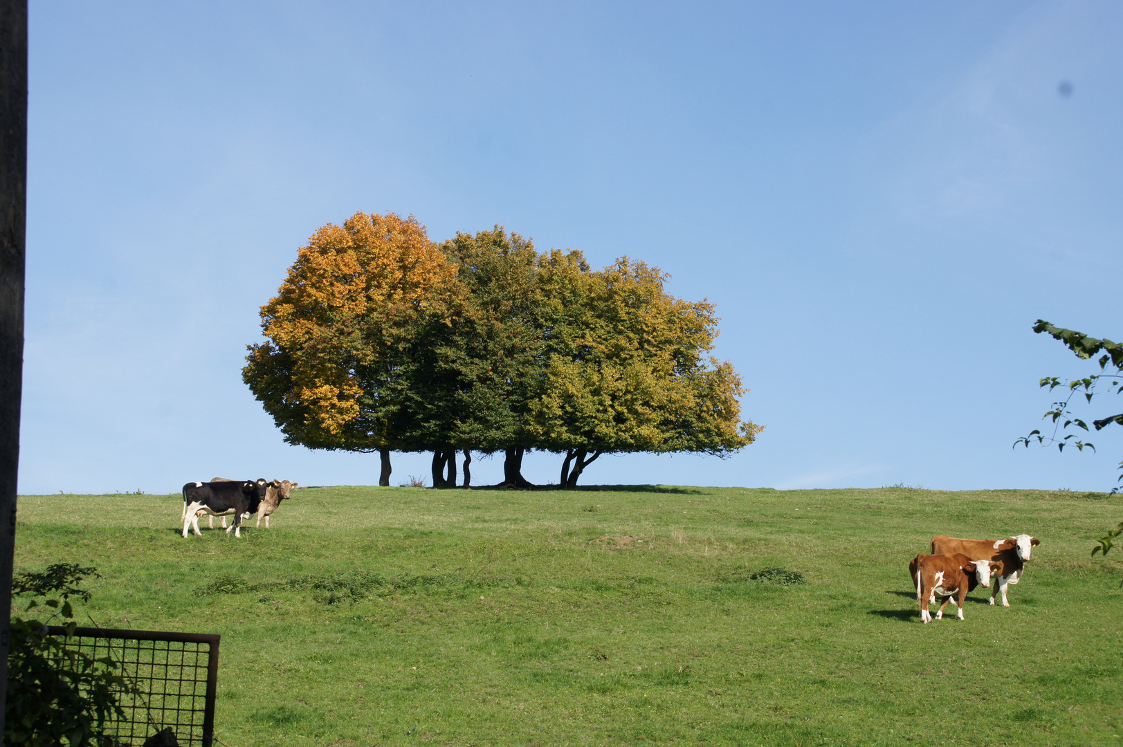 So schön kann Herbst sein ..........geht doch