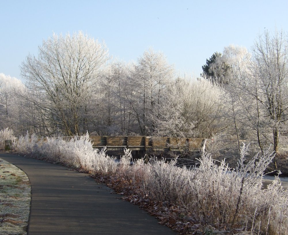 so schön kann Oldenburg im Winter sein.