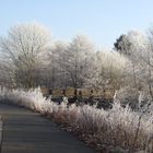 so schön kann Oldenburg im Winter sein.